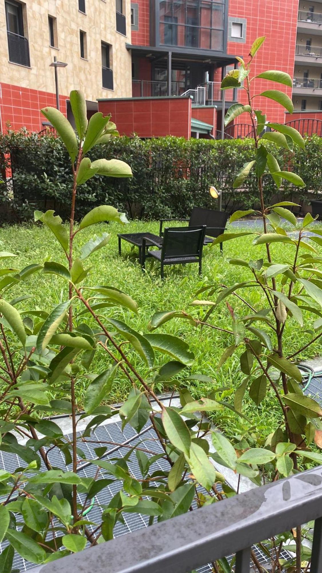 Cos54 - Exclusive Apartment With Garden In Milano Esterno foto